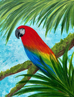 Macaw 11x14